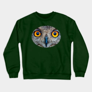 Eyes of an Eagle owl Crewneck Sweatshirt